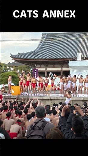 【奇祭】四天王寺どやどや #どやどや #四天王寺 #奇祭 #大阪の伝統 #日本の祭り #修正会 #五穀豊穣 #ふんどし #伝統行事