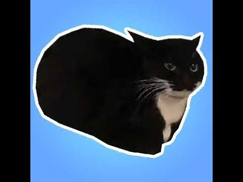 🔴|Jerry Gaming Time Hypixel Skyblock |🔴 | Master Mode Floor 7 |🔴