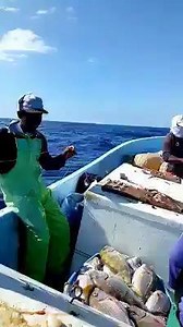 awesome fishing | Fishing fishing