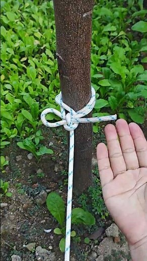 Ancient knotting techniques for tying animals #knot