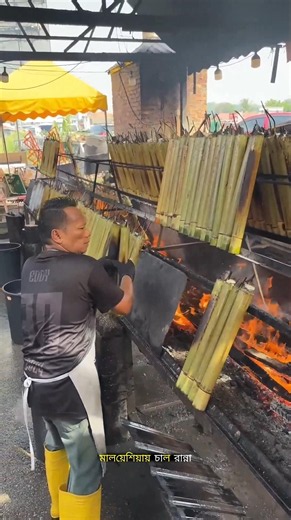 Why Do Malaysian People Cook Rice Inside Bamboo Instead of a Pot?#facts #trending #ytshorts