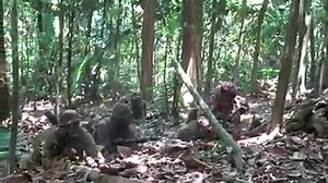 Soldiers from Lancashire-based 2nd Battalion The Duke Of Lancaster's Regiment are testing themselves in jungle warfare techniques and helping the Belize Defence Force train its future leaders. Around 100 soldiers from the battalion’s Blenheim Company, with others in support roles, are spending much of that time on Exercise Mayan Warrior; living in the jungle, learning how to survive and fight in some of the toughest conditions on the planet. Kingsman Jordan Mason, 21, and from Barrow, Cumbria, h