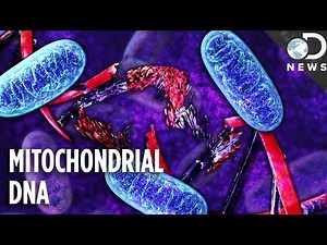 Why Does Some DNA Self-Destruct?