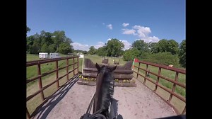 Highlights från vår int. debut CCI2* Strömsholmsdagarna. Ig: teamlinnpark #eventinghorse #eventing #fälttävlan #tiktoksverige #fyp #foryou #fördig