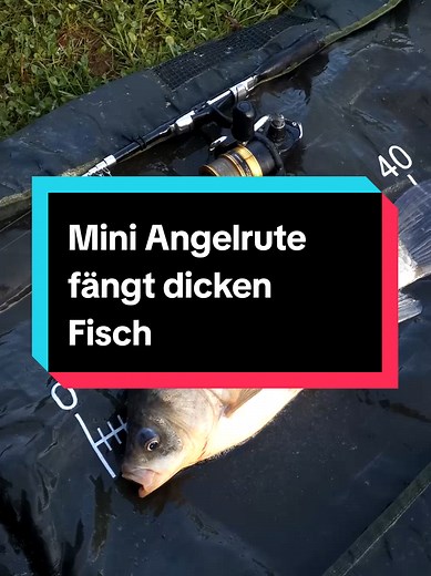 Mini Angelrute fängt dicken Fisch leicht