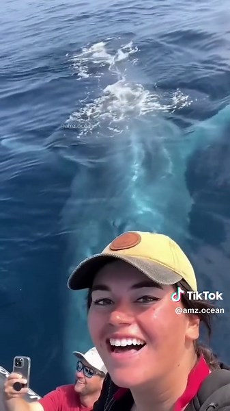 Incredible moments of beauty #amazingocean #whales #wildlife