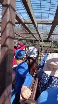 Spoiler, vlogs sarfari