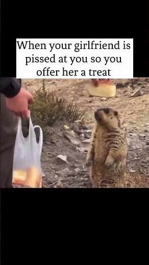 Your Girlfriend is Pissed #shorts