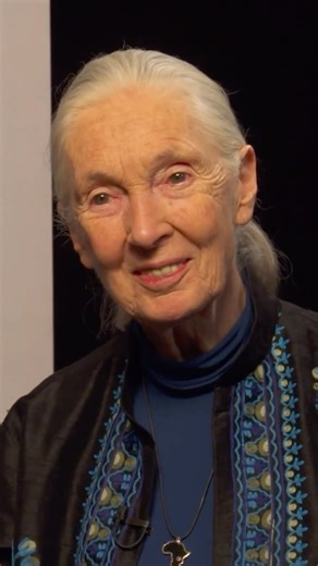 Nat Geo Documentary Films | From the NatGeo archives: Jane Goodall demonstrates her world-famous chimp call. | Instagram