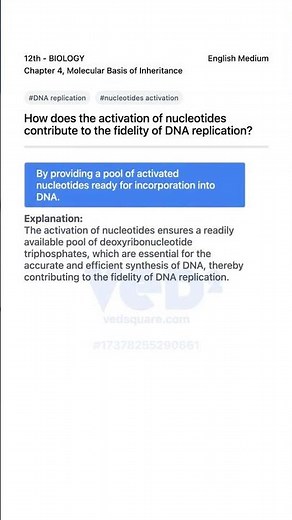How Nucleotides Activation Ensures DNA Replication Fidelity BIOLOGY 12th