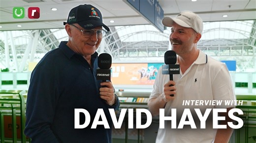 David Hayes chats Ka Ying Rising ahead of the Chairman’s Sprint Prize