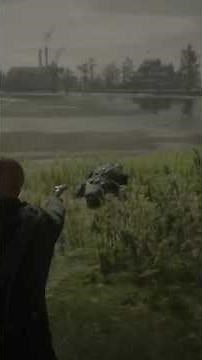 Hunting the DEADLIEST Monster in RDR2! (Legendary Gator)#RDR2 #RedDeadRedemption...