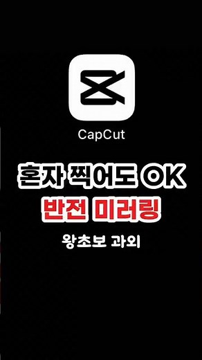 좌우반전 캡컷 미러링