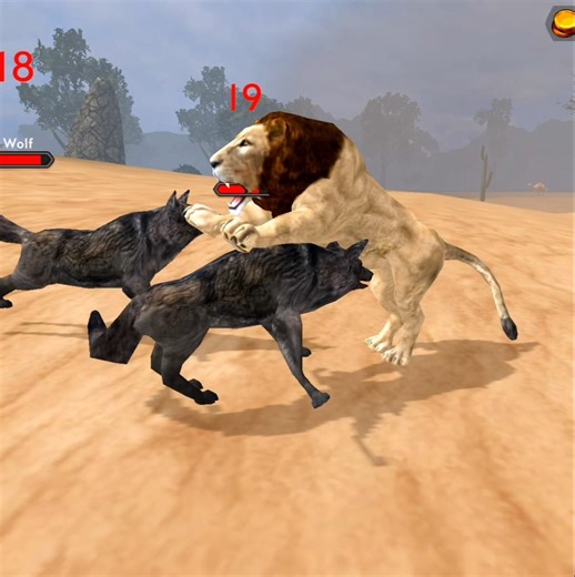 Wild Lion 🦁 V's Desert Wolves 🐺 Animal Battle #lion #simulator #games