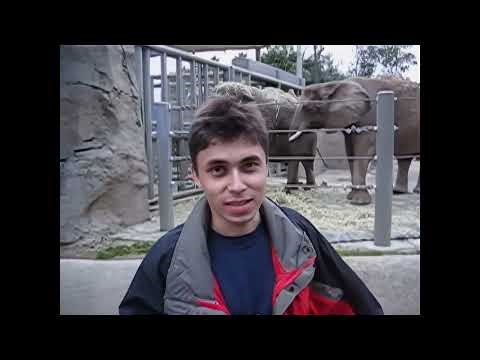 Me At The Zoo - The First YouTube Video Ever - 4K Remaster