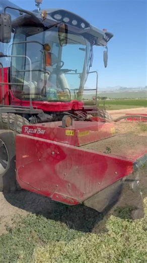 42K views · 648 reactions | We’re laying it down!! Alfalfa/hay season is here!! #tractor #farm #farming #farmer #horse #barrelracer #horses #hayforse | Bales Hay Sales | Facebook