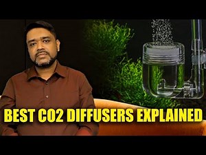 Best CO2 Diffusers Explained - Top 8 Diffusers for Planted Tank