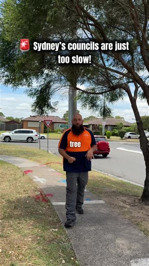 Professional Tree Removal Services for Council Trees