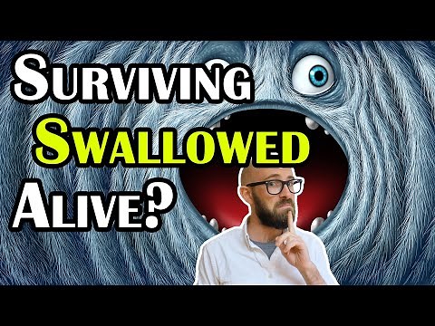 How Do Animals Swallowed Alive Actually Die and Do Any Ever Get Out Alive After?