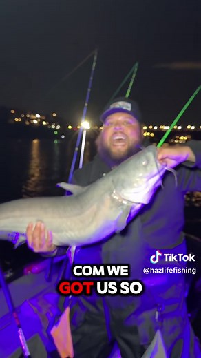 Catch Giant Fish Using American Eel Bait