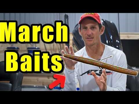 The Only 3 Baits You Need in March!