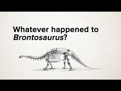 Whatever happened to Brontosaurus?