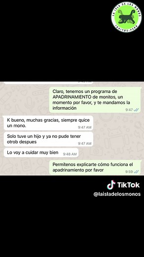 Monos Bebés: Concienciando sobre su Cuidado
