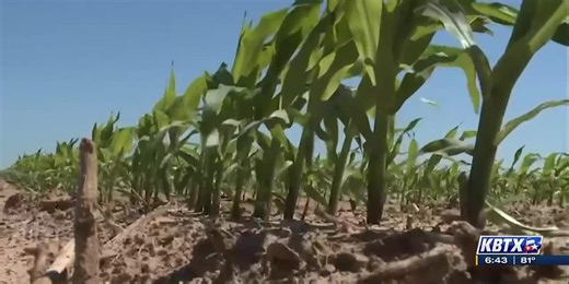 From The Ground Up: Using pesticides, production tools properly