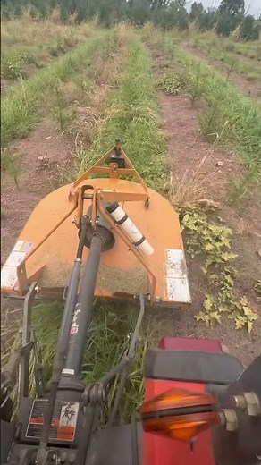 Mowing with Kubota B2320