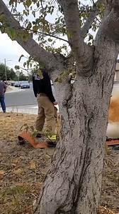 175K views · 944 reactions | Can't forget to flush that Fire Hydrant !! #firefighter #firefighting #firefightertraining #firedepartment #firedept | Firefighter Lovers | Facebook