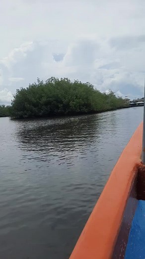 Videos de 🇸🇻chelin chelin (@chelin.503) con “sonido original - Regueton-Vieja-Escuela”