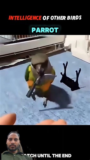 Not just a bird—crows are genius #Crow​ #SmartBird​ #AnimalFacts​ #BirdFacts​ #Wildlife​ #Shorts​