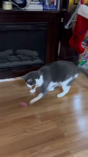 She Waits… Then Pounces