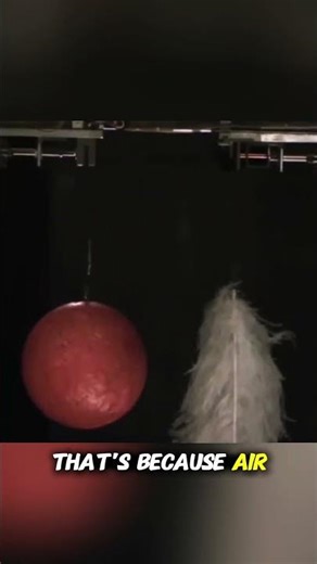 Feather vs Metal Ball Who Falls First | Gravity Experiment That Breaks Your Mind