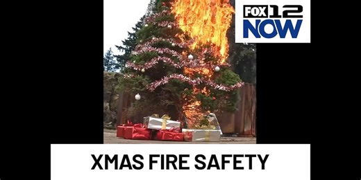 Christmas trees can burn in 60 seconds. Here's some tips to prevent that