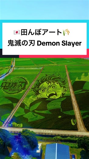 埼玉県行田市の田んぼアートと鬼滅の刃