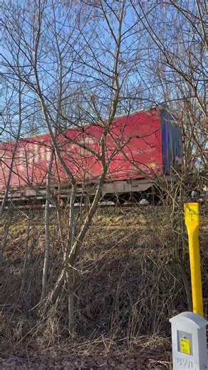 Speeding German Goods Train #shortsfeed