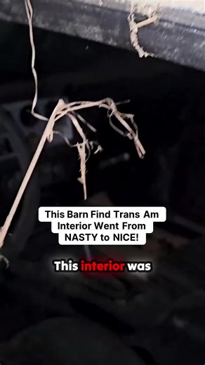 This Barn Find Trans Am Interior Went From NASTY to NICE! #CarRepair #Mechanic #AutoRepair #CarTok #BarnFind #CarRestoration #TransAm #fyp