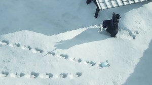 New Wild Hearts Video Shows Some Kemomo Are Small & Adorable