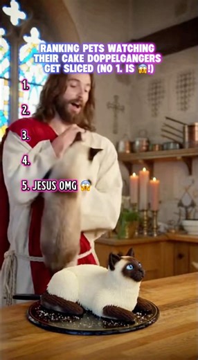 Top 5 Pet Reactions to Cake Prank Doppelgänger Freak Outs!