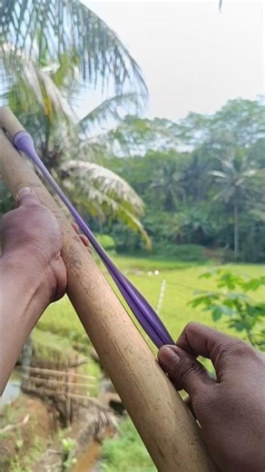 bamboo slingshot #catapults