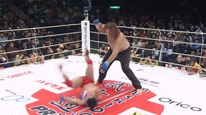 563K views · 1.8K reactions | The Wildest PRIDE FC Bouts! #PRIDENeverDie Access classic PRIDE Bouts | Sign Up Now: https://ufc.ac/3AofDIW | UFC Fight Pass | Facebook