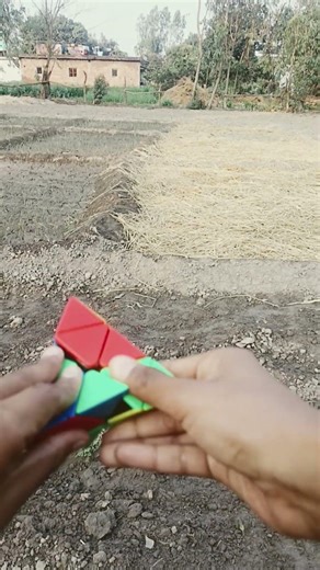 3×3×3 Speed pyraminx solving