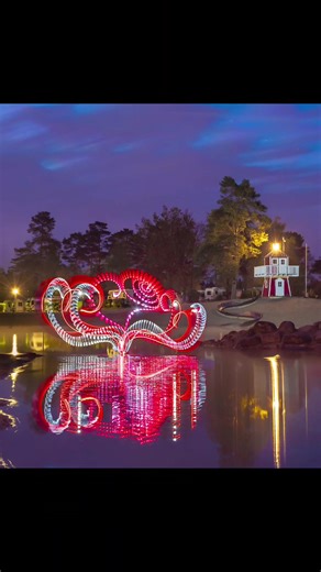 Mesmerizing Light Reflections in Water Gardening Photography