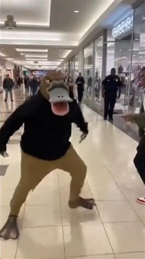 Perry the Platypus is NOT playing around! 😱😂