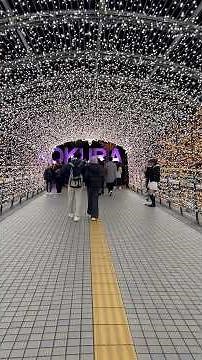 小倉城とイルミネーションの共演が絶景すぎる！2025年冬の北九州散歩