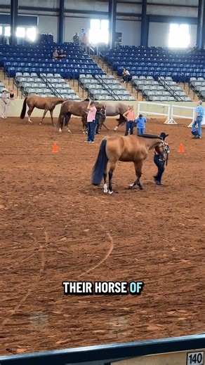 What is the “showmanship” class?🐴 | Katie Van Slyke