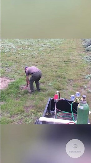 Putting bomb inside the Ground ?! #rats #farming #agriculture #facts #interestingfact #amazing