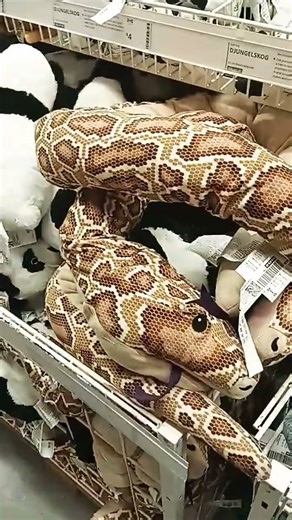 Exploring SCP 3008, aka the infinite #ikea #scp #scpfoundation