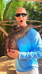 Valerian Root Tea Calms You Down! #drmandell #valerian #tea #calm | Motivationaldoc